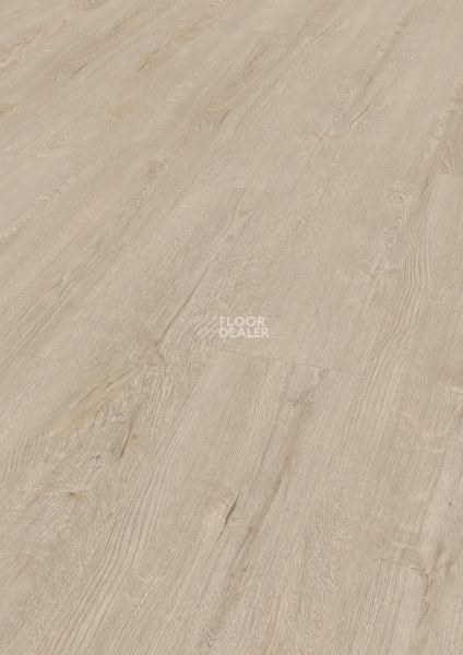 Ламинат Kronotex Exquisit 8мм d41182 Дуб Горизонт кремовый фото 1 | FLOORDEALER